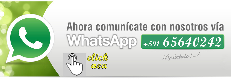 link whatsaap